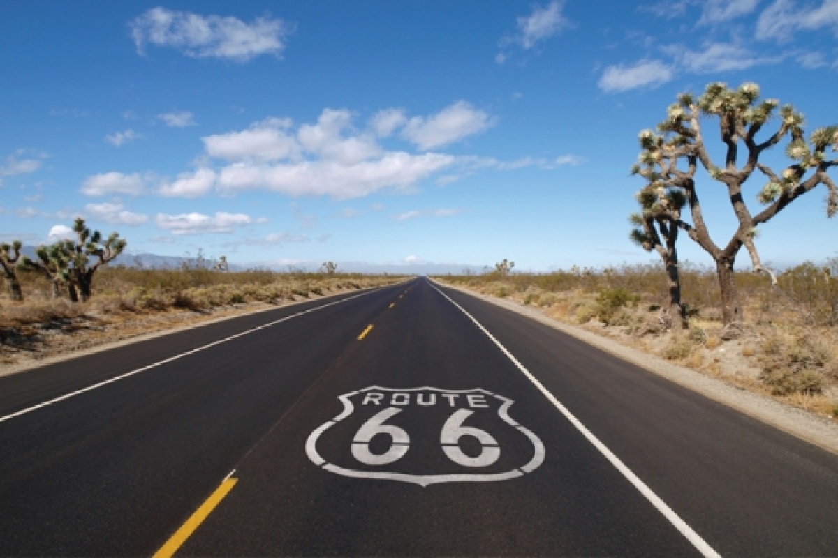 The Route 66 highway symbol is painted on the road through a desert landscape with Joshua Trees. BLM photo.