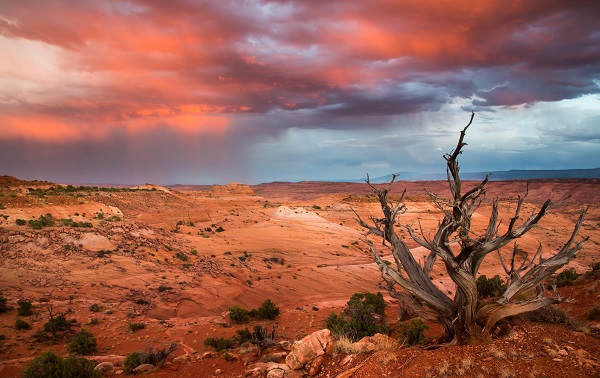 Escalante Canyons