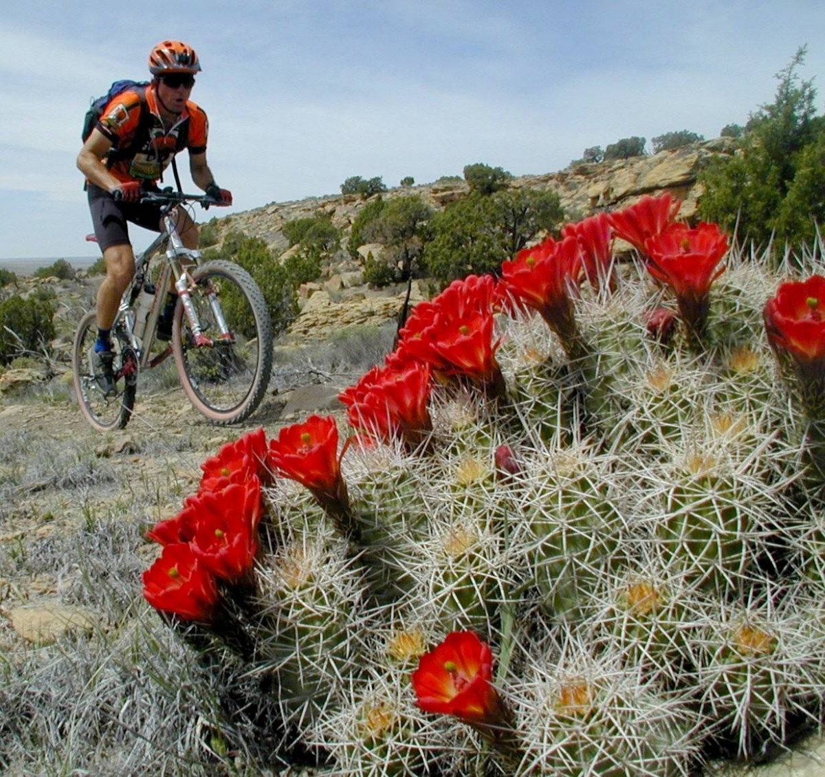 A mountain biker treks the McGinnis Canyon NCA trails in Colorado.  Photo by Bob Wick, BLM.