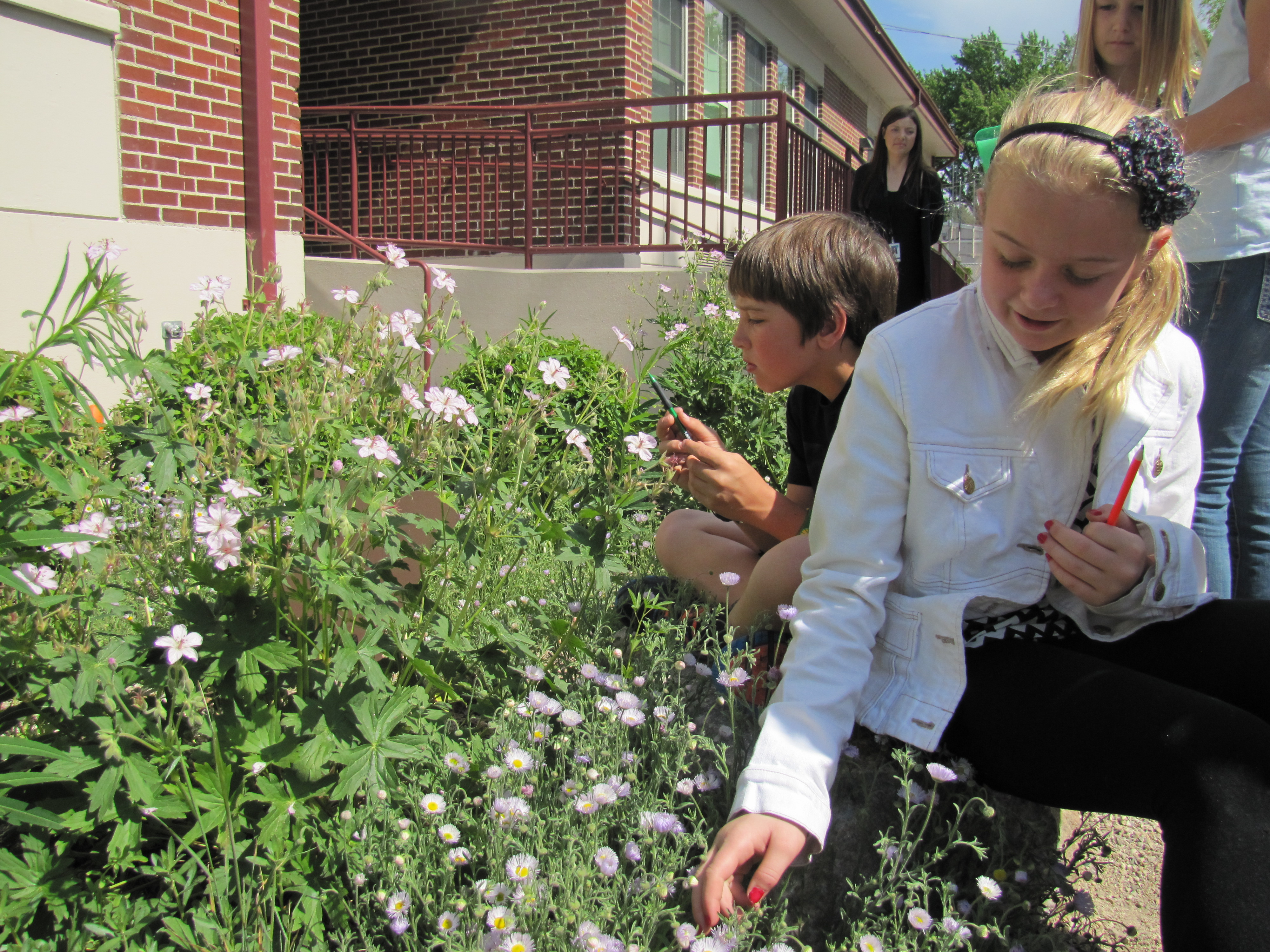 Roosevelt Elementary School student by the native garden