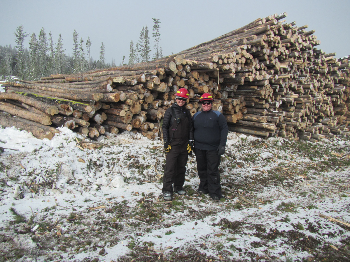 Timber Sale Crew