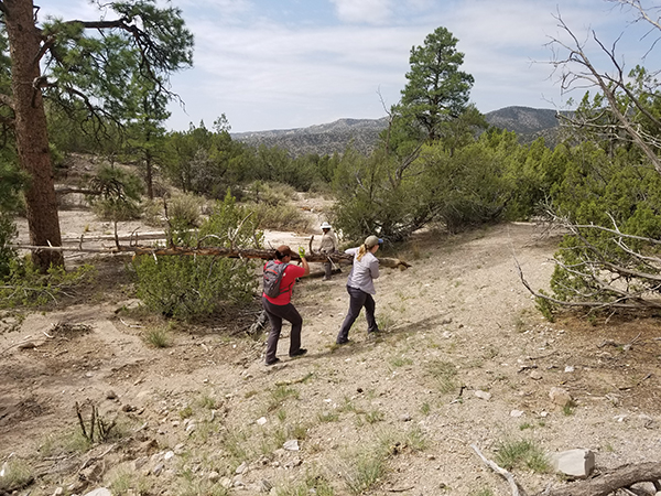 New Mexico State Office and Albuquerque District employees working together to delineate the rebuilt trails