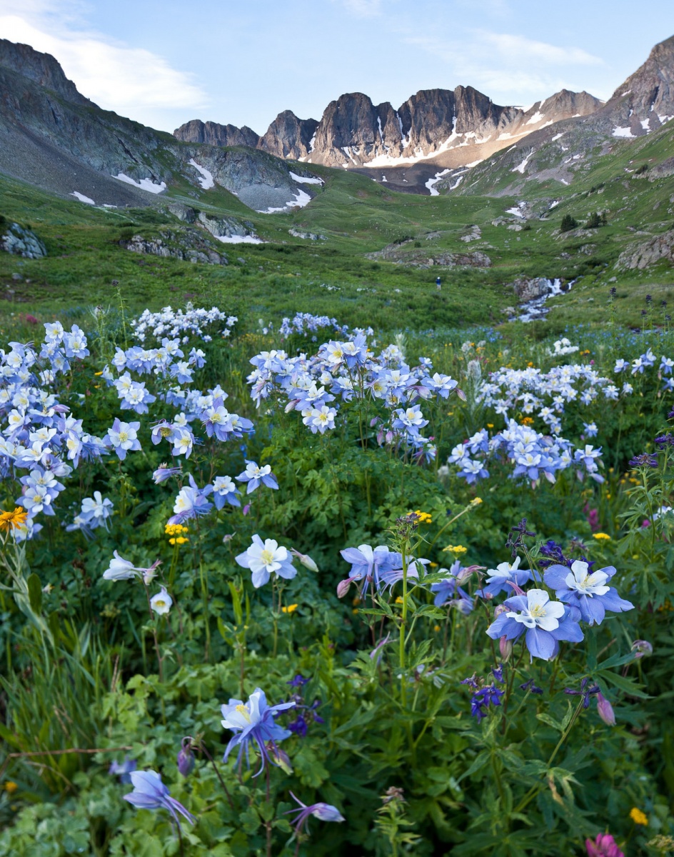 Landscape view of Handies Peak Wilderness Study Area in Colorado. Photo by Bob Wick, BLM