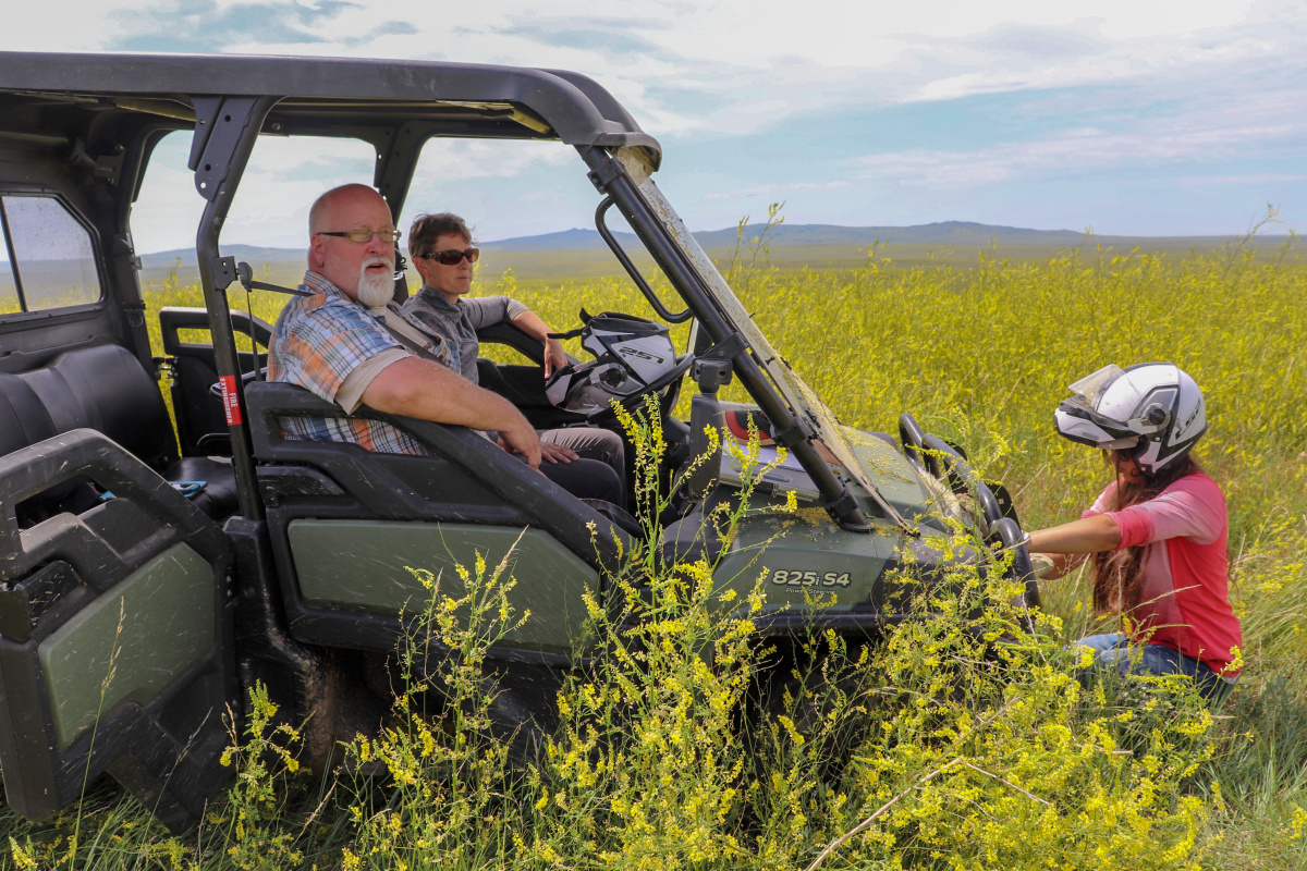 Trouble with Sweetclover