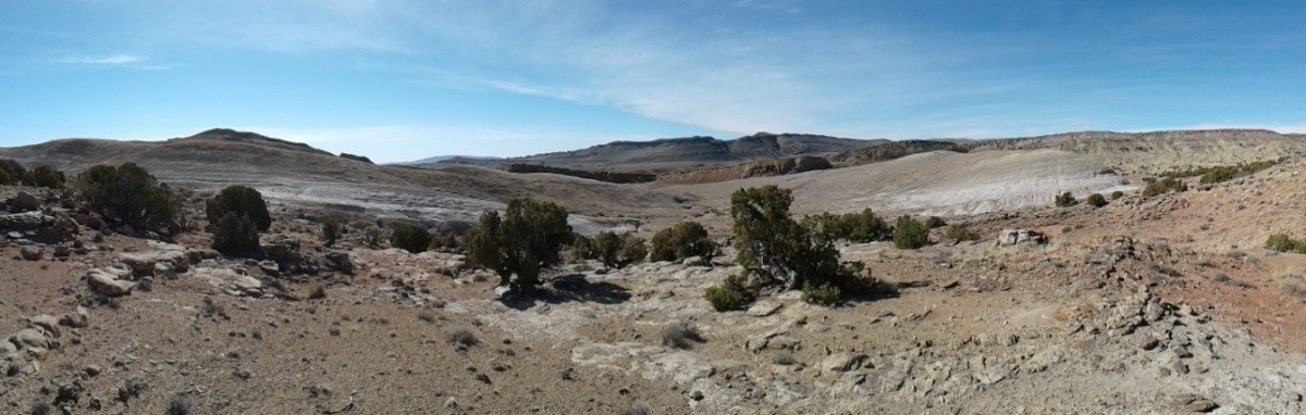 Stegosaurus fragments found in Carbon County