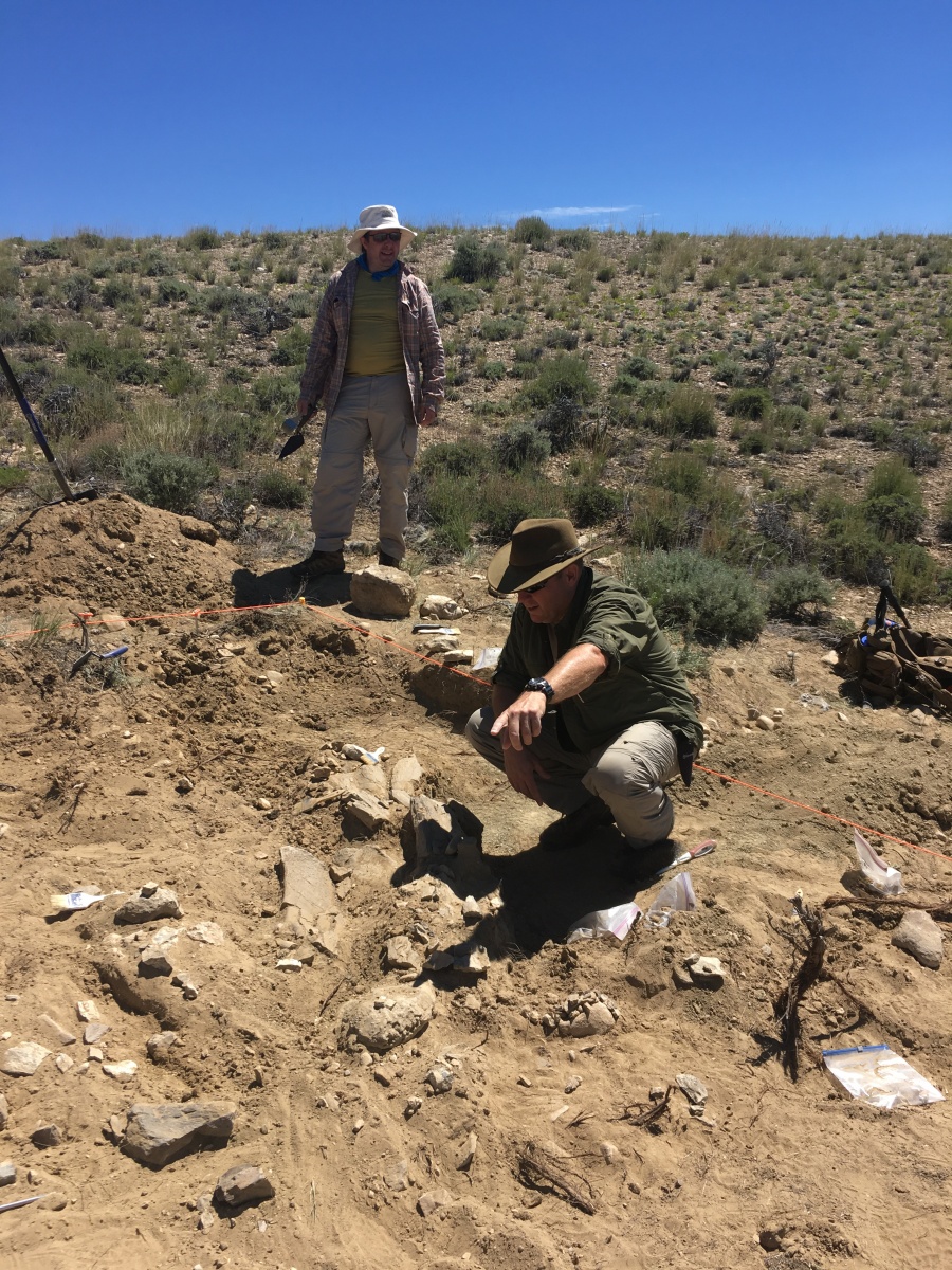 Dinosaur site in Carbon County