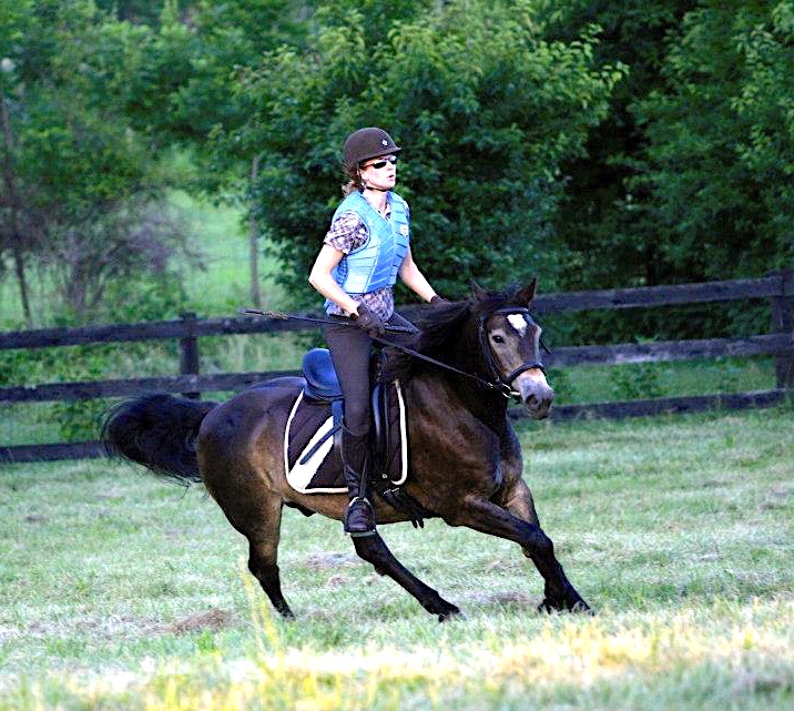 Rider on a horse. 