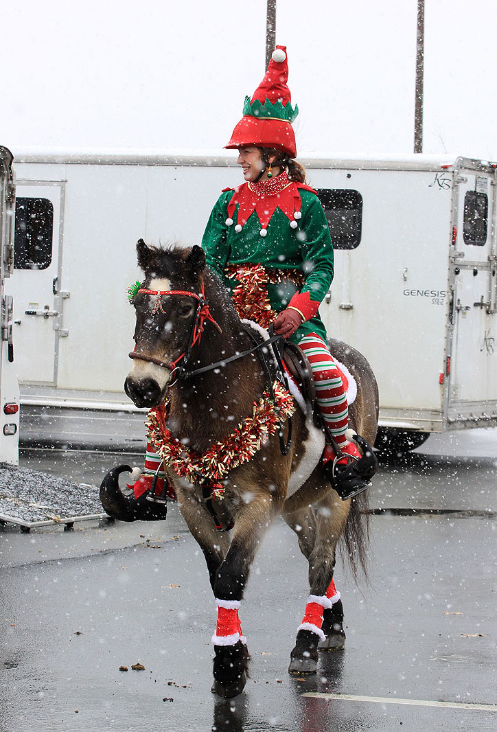 A rider in a christmas costume on a horse. 