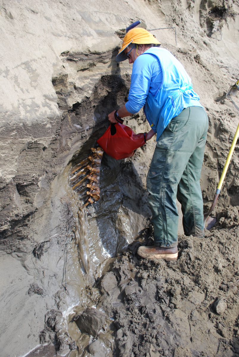 Woman pouring a bucket of water over bones