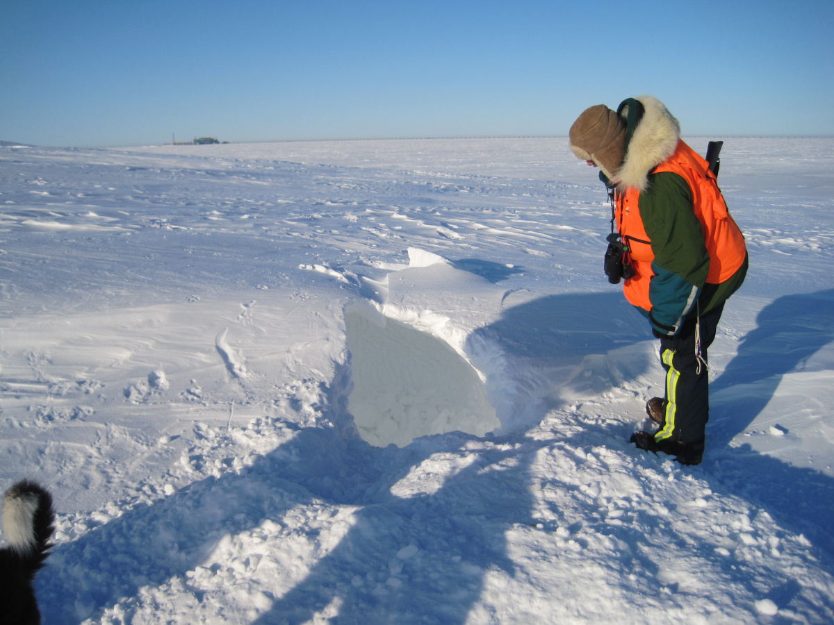 Man looking into a polar bear den