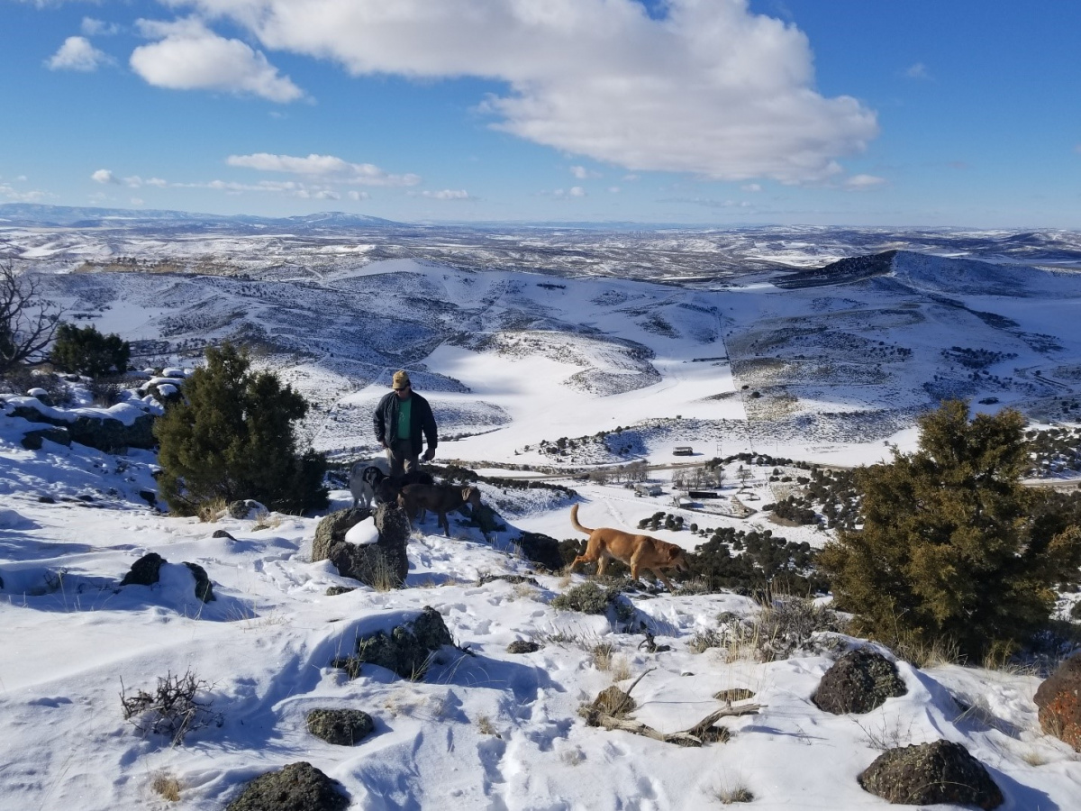 man walking with dog 