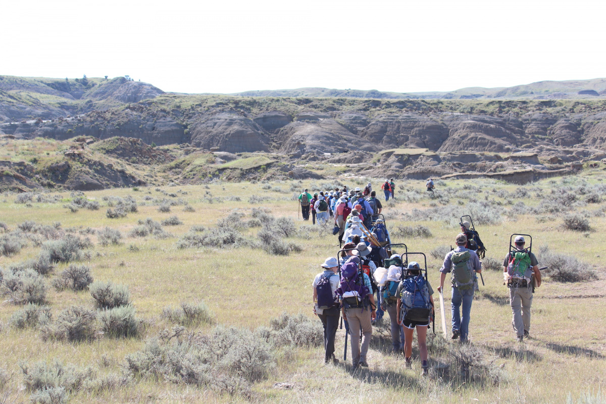 Dig Field School