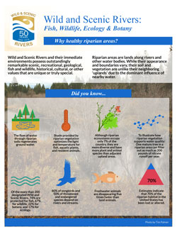 Fish & Wildlife infogrphic