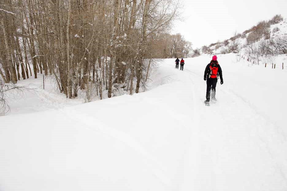 3 people snowshoeing 