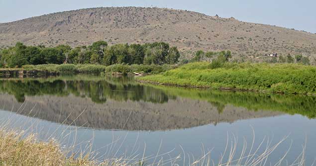 This prime riparian habitat along the Henry's Fork of the Snake River has been preserved thanks to collaboration between BLM and its partners. 