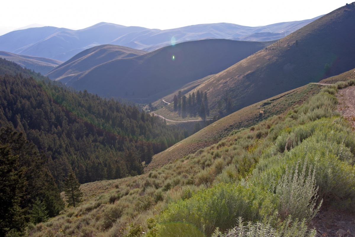 This is the westward view from Lemhi Pass along the Lewis and Clark Backcountry Byway