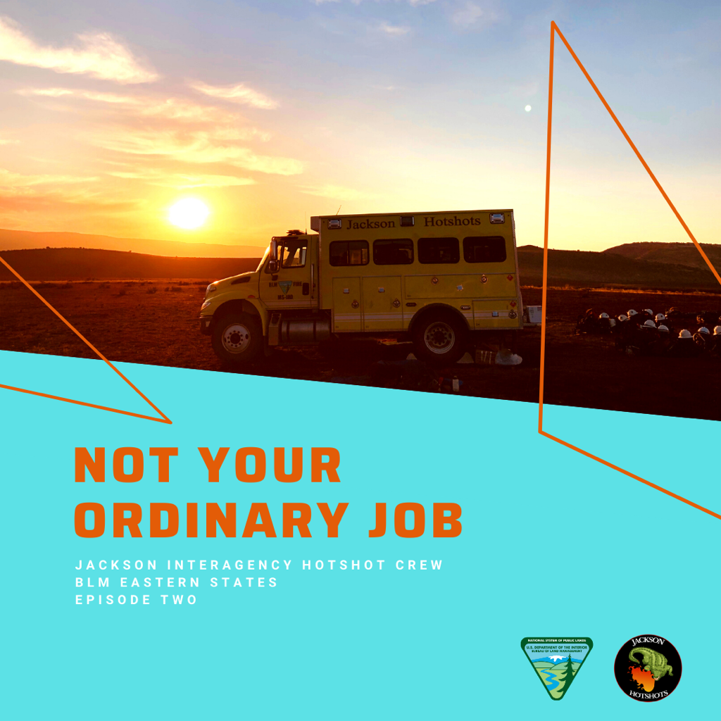 Not Your Ordinary Job