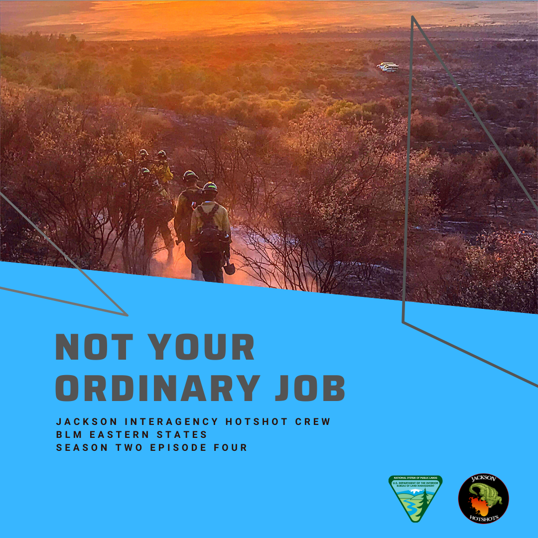 Not Your Ordinary Job