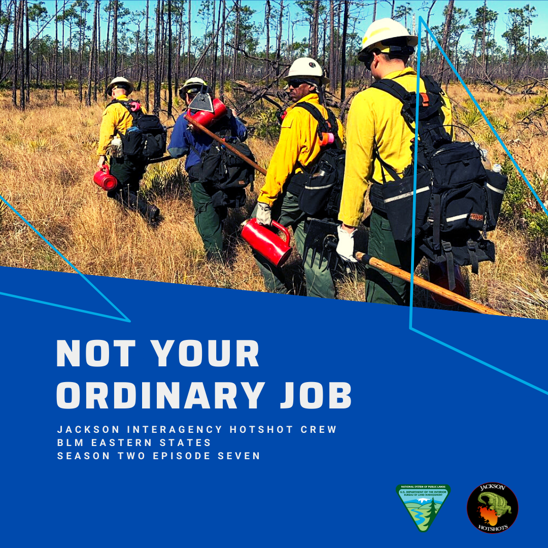 Not Your Ordinary Job