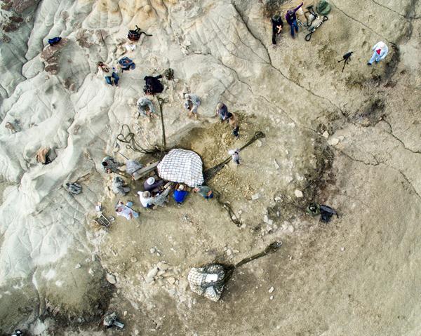 Loading an adult skull into a truck bed at an archaeological dig.