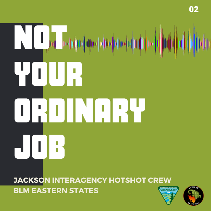 not_your_ordinary_job_podcast