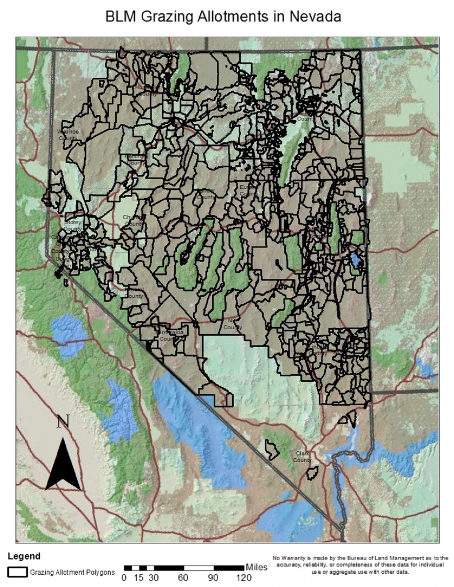 A grazing map of Nevada