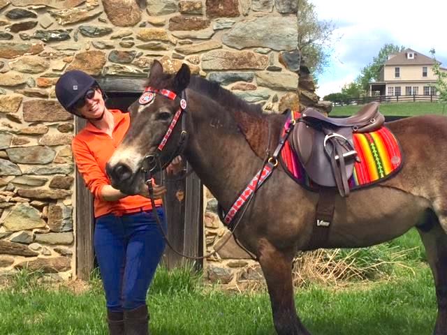 Woman with dressed up horse outdoors. 