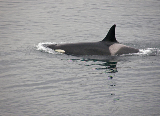 San Juan Islands National Monument