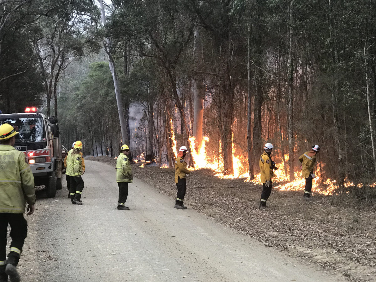 U.S. firefighters in Australia