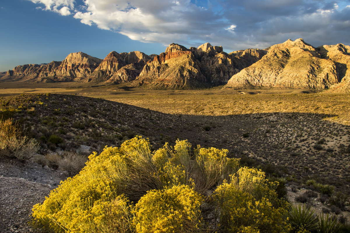 Photo of Red Rock Canyon Escarpment