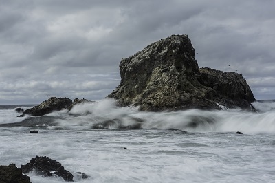 Sea rock covered in sea lions and birds.