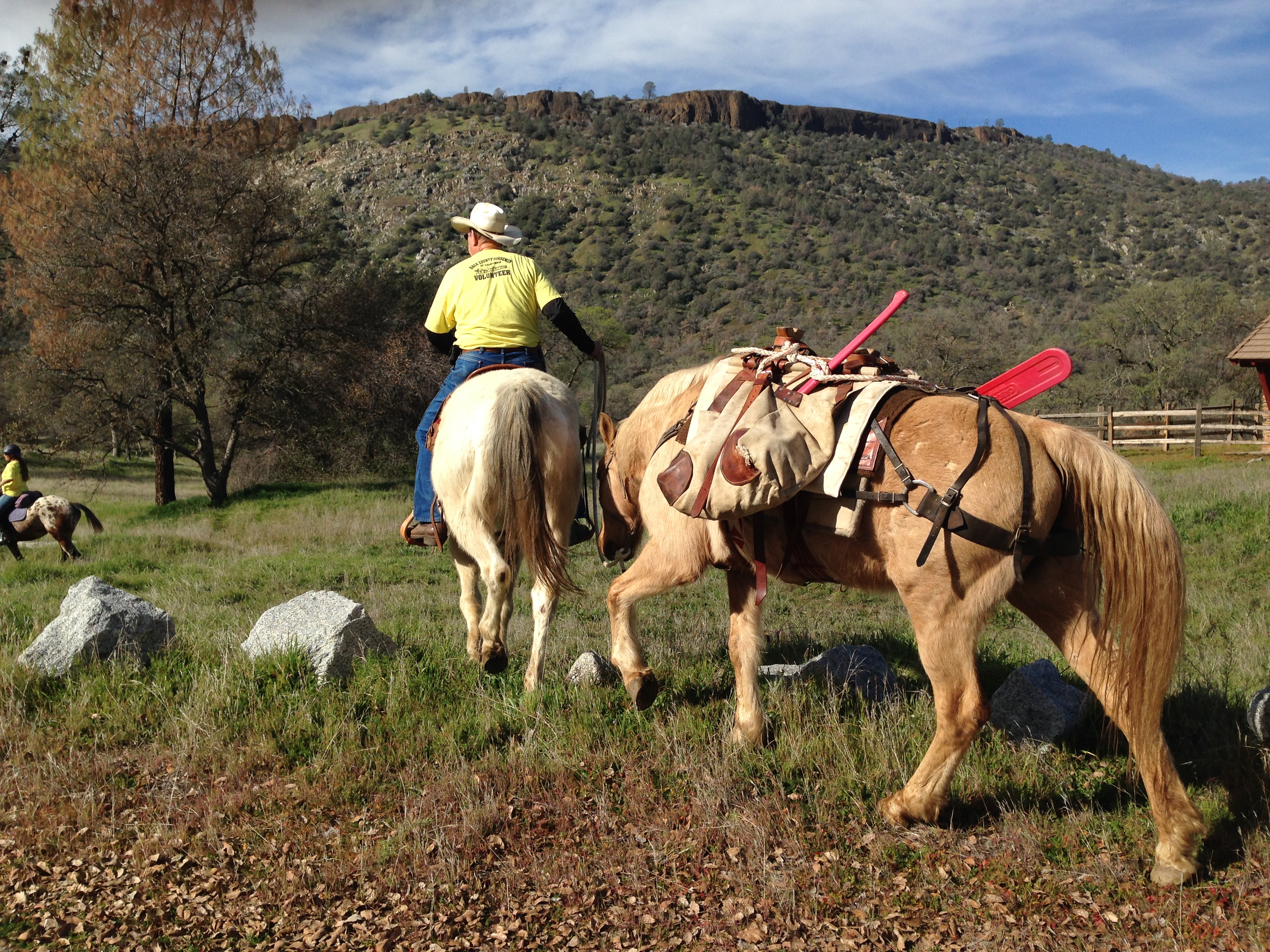 A man rides away on a horse while leading another wearing packs.