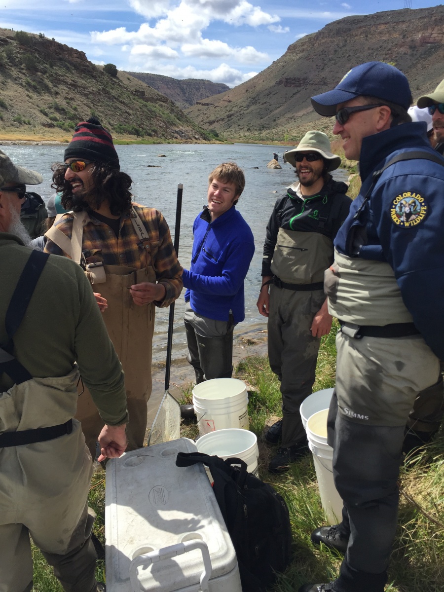 Volunteers and researchers collecting stone flies.