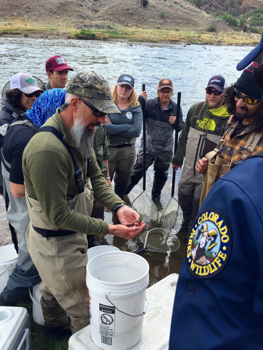 Volunteers and researchers studying stone flies.