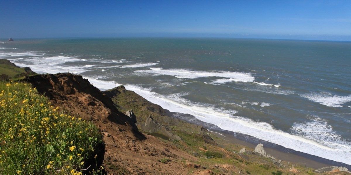 The beautiful green coastline of Lost Coast Headlands (Photo by Bob Wick, BLM)