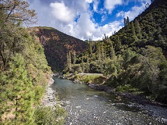 A clear river winds through a forest. Photo by John Ciccarelli/BLM.
