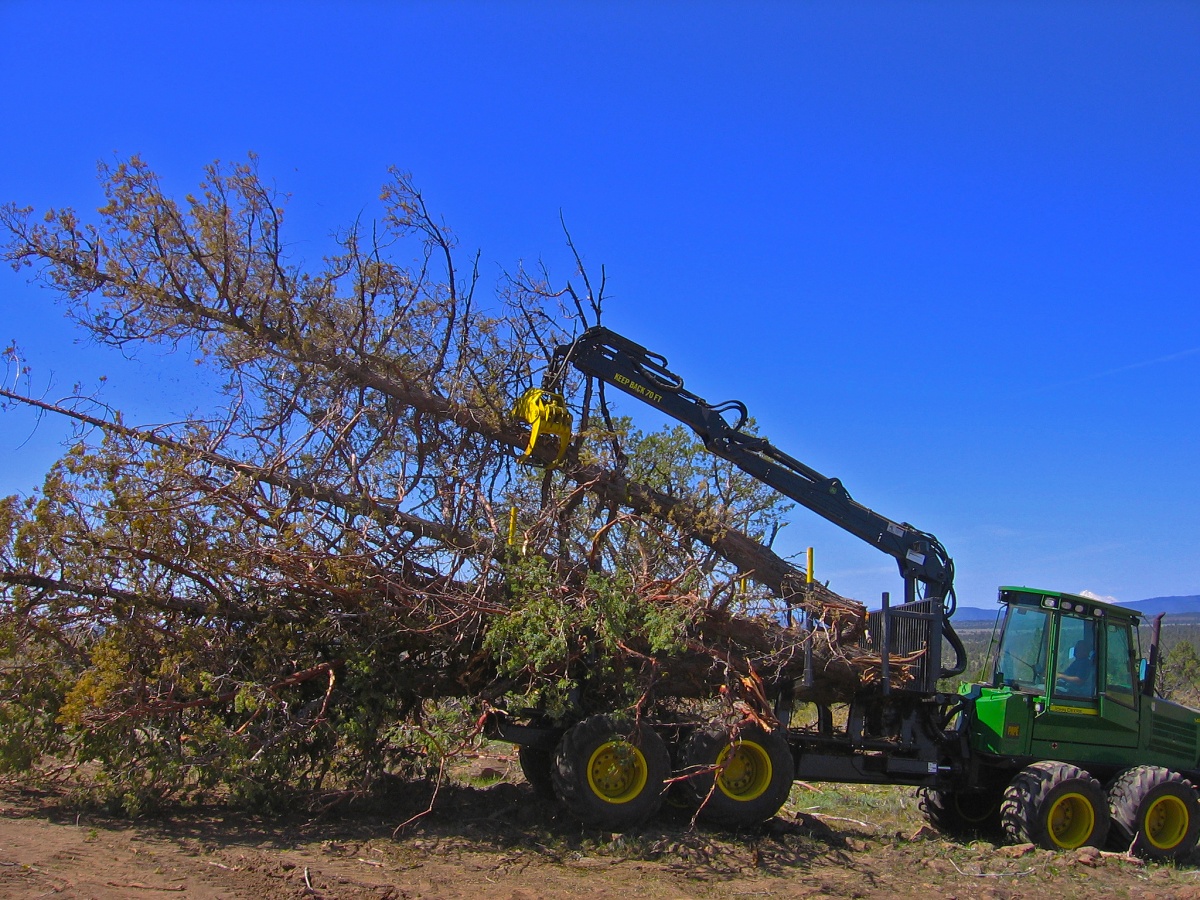 Stewardship Contracting in Oregon and Washington