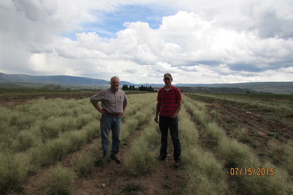 Two men standing in a field with rows of native grass, posing for a picture.