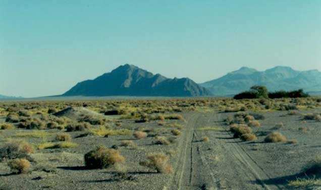 A mountain in the Mojave Desert. Photo by Alex Neibergs/BLM.