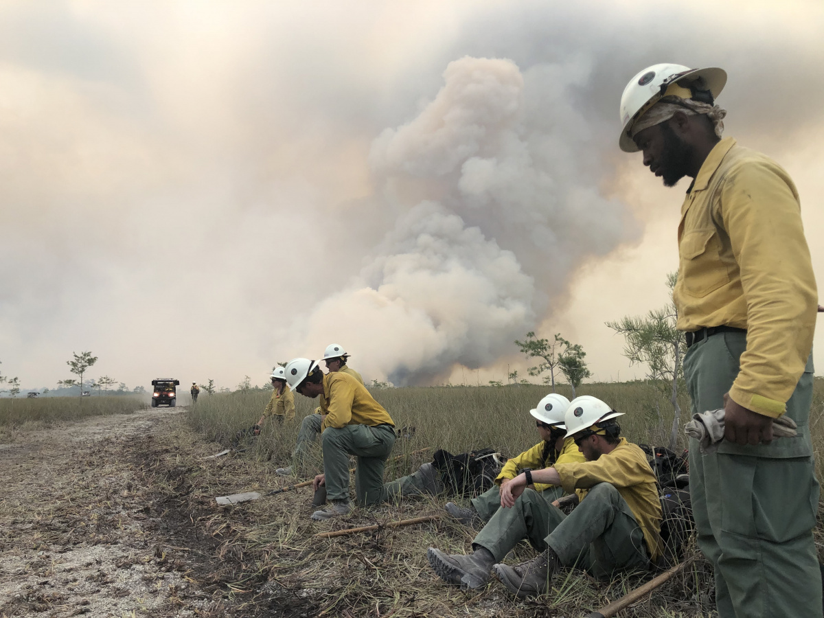 Cypress Fire Story