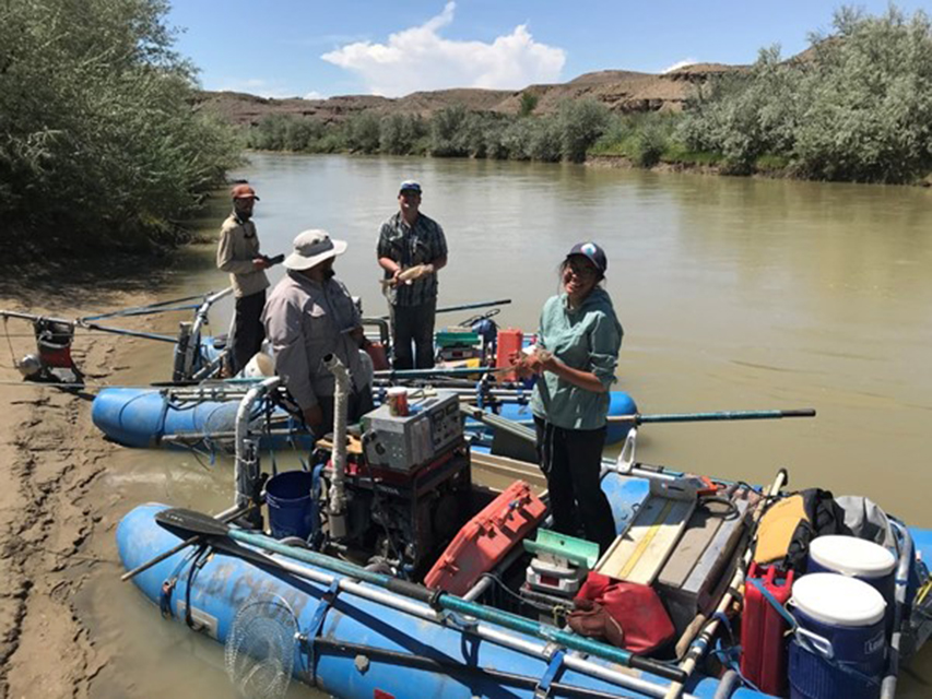 Intern-Story_Cristina_BonnevilleCutthroatTrout_SaltLakeFieldOffice