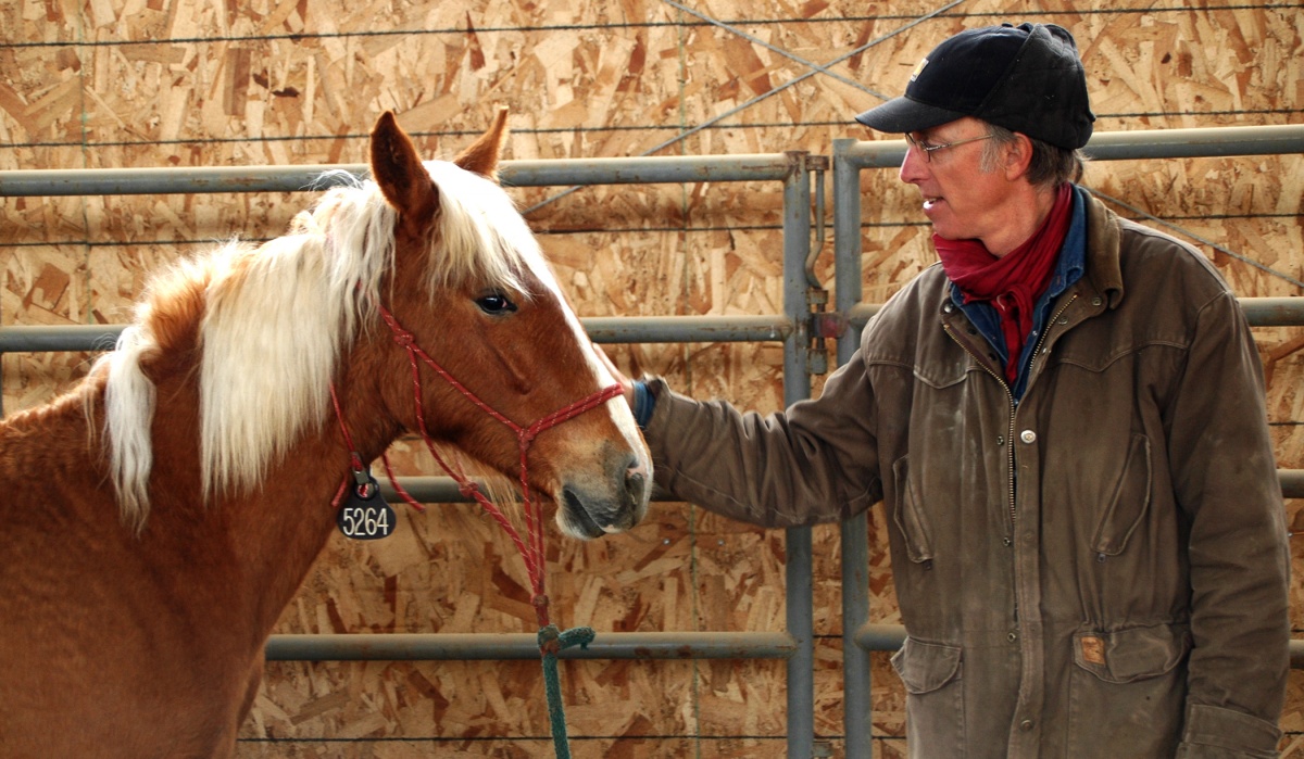 Steve Mantle petting horse