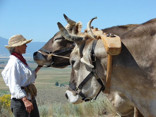 Oregon Trail Center