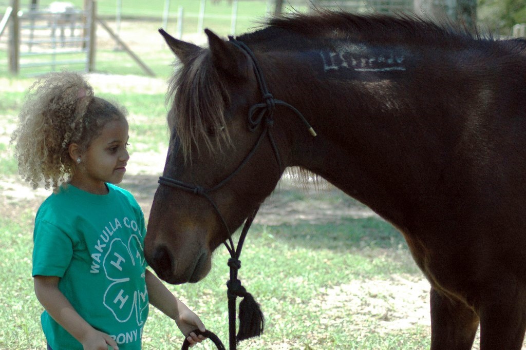 Girl standing with a mustang. 