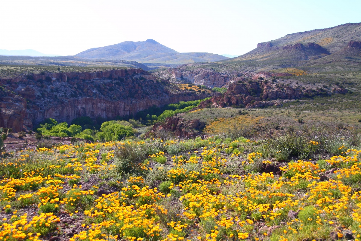 A landscape view of Gila Lower Box Canyon, New Mexico, photo by Mike Howard