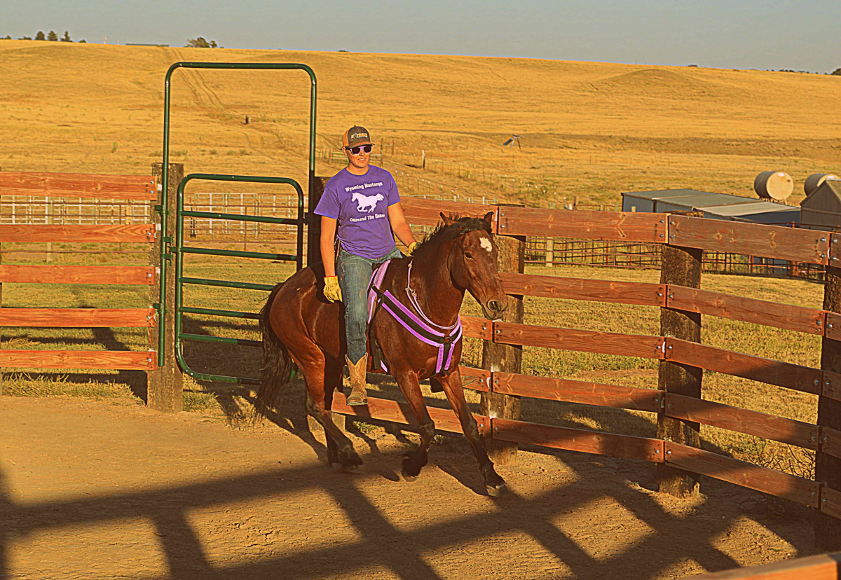 Man riding a horse in a round pen. 