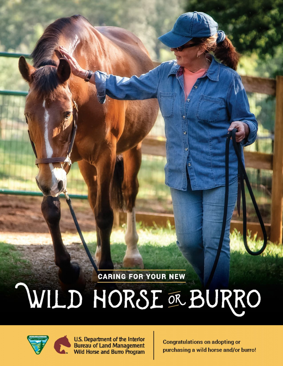 Cover of the Care and Feed guide shows a woman walking with a horse. 