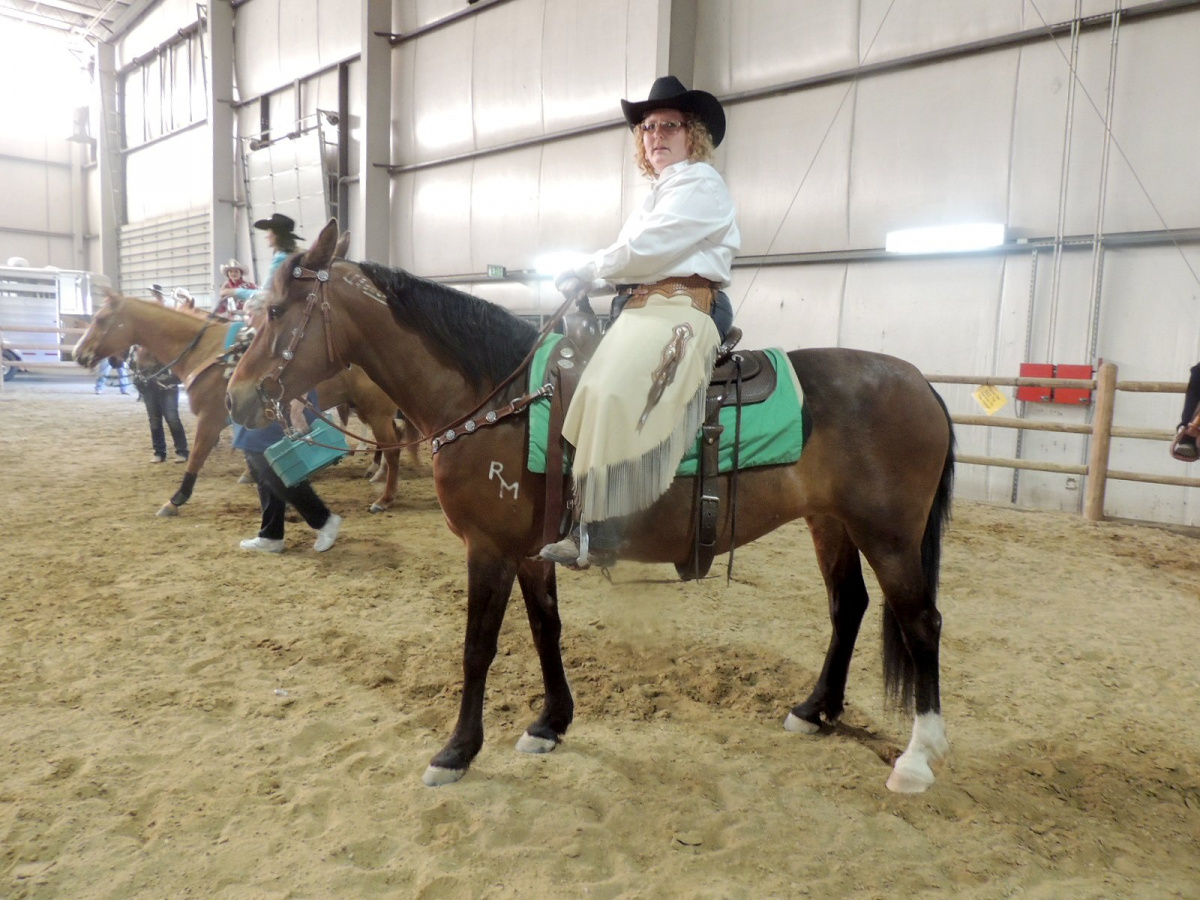 Horse with rider in an arena. 