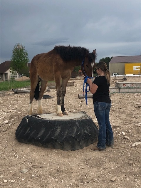 Emalee Gallegos with Riddle. 