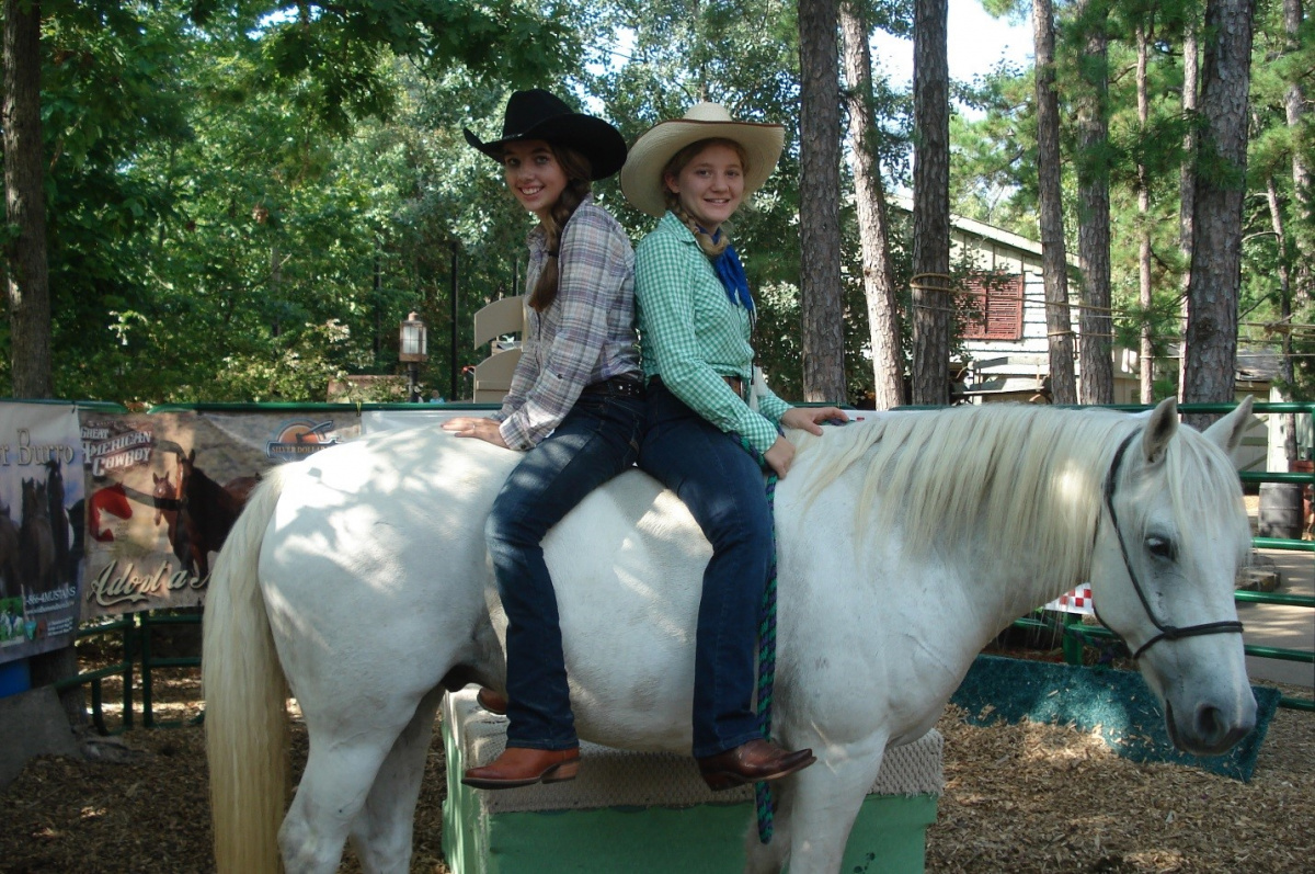 A horse with two riders, back to back. 